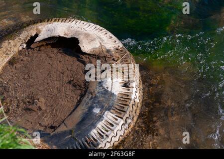 Italia, Lombardia, pneumatico monopezzo abbandonato in acqua Foto Stock