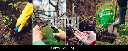 Collage di giardinaggio dell'agricoltura di primavera. Trapiantando fertilizzante coltivando piantine potando terreno di albero scavando. Giorno della terra Foto Stock