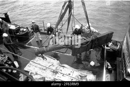 UNA PISTOLA DI BRONZO VIENE TRASCINATA A BORDO DELLA NAVE DI SALVATAGGIO MARY ROSE SLEIPNER. PIC MIKE WALKER, 1981 Foto Stock