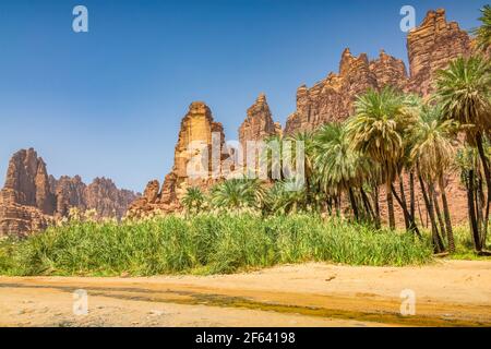 Oasi di Wadi al Disah nella provincia di Tabuk, Arabia Saudita Foto Stock