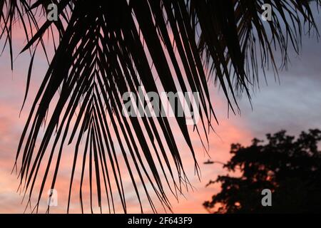 Tramonto in Florida Foto Stock