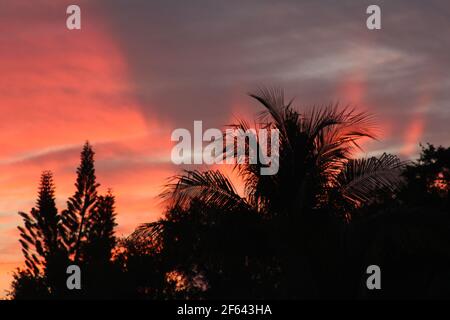 Tramonto in Florida Foto Stock