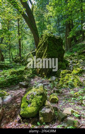 Ball's Falls Conservation Area Niagara Escarpment Lincoln Ontario Canada in estate Foto Stock