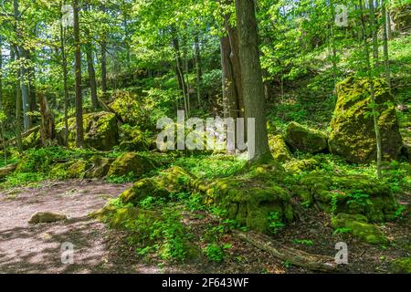 Ball's Falls Conservation Area Niagara Escarpment Lincoln Ontario Canada in estate Foto Stock