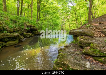 Cascate di Louth e sentiero escursionistico Lincoln Ontario Canada in estate Foto Stock