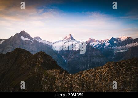 Wetterhorn, Schreckhorn e Finsteraarhorn all'alba da Bachalpsee, Grindelwald, Oberland Bernese, Canton Berna, Svizzera Foto Stock