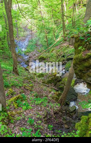 Cascate di Louth e sentiero escursionistico Lincoln Ontario Canada in estate Foto Stock