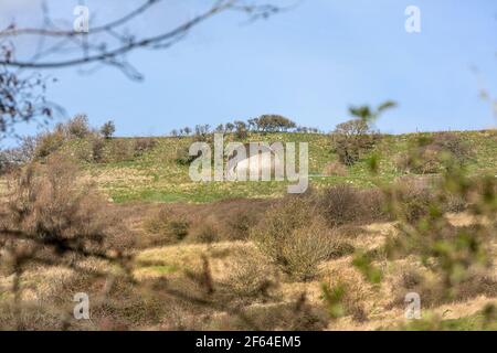 Uno specchio sonoro della seconda guerra mondiale su Hythe Roughs, Kent, Inghilterra sudorientale. Foto Stock