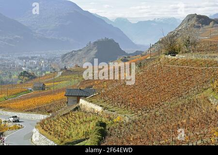 La città svizzera meridionale e capitale del Vallese, Sion in autunno con vigneti e castelli Foto Stock