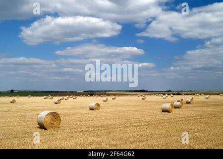 UK, South Yorkshire, Doncaster, Drum Hay balle in campo vicino High Melton Foto Stock