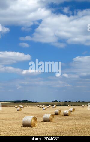 UK, South Yorkshire, Doncaster, Drum Hay balle in campo vicino High Melton Foto Stock
