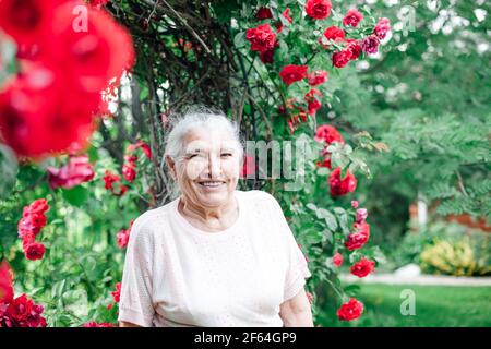 primo piano ritratto di una donna anziana dai capelli grigi con un largo sorridi e veneti nel giardino vicino ai cespugli di rose Foto Stock