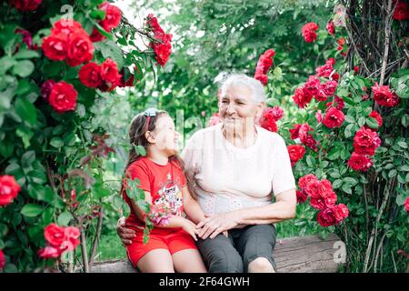 ritratto di un pensionato dai capelli grigi che abbruttava e ridendo con sua nipote seduta su un log o panca sotto selvaggio cespugli di rose Foto Stock