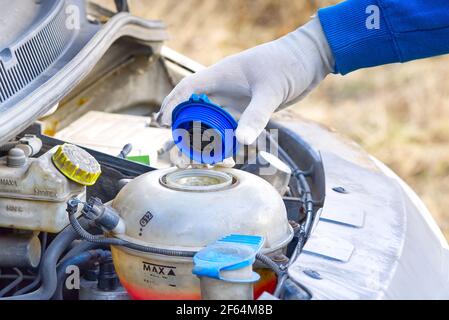 Erogazione del liquido di raffreddamento manutenzione delle vetture. Erogazione di antigelo. Il meccanico riempie il liquido di raffreddamento G12 nel serbatoio del motore Foto Stock