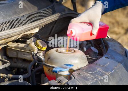 Erogazione del liquido di raffreddamento manutenzione delle vetture. Erogazione di antigelo. Il meccanico riempie il liquido di raffreddamento G12 nel serbatoio del motore Foto Stock