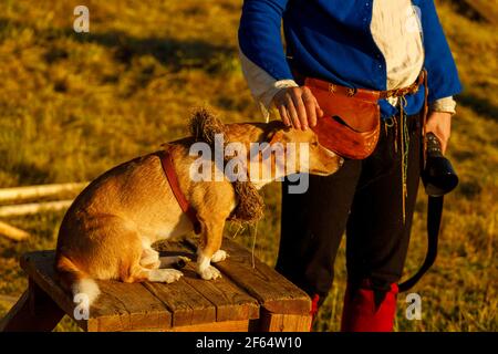 il proprietario batte il cane sulla testa all'aperto dentro estate Foto Stock