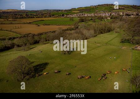 Una mandria di figure a grandezza naturale di elefanti creata dalla famiglia di elefanti della conservazione internazionale in mostra al Castello di Sudeley a Winchcombe, Gloucestershire. Data immagine: Martedì 30 marzo 2021. Foto Stock