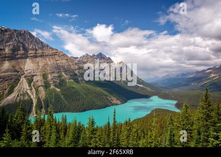 Peyto Lake on Icefields Parkway in Banff National Park, Alberta, Rocky Mountains, Canada Foto Stock