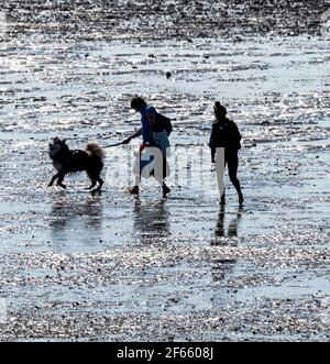 Southend on Sea Essex 30 marzo 2021 UK Meteo, attività in spiaggia a Southend on Sea su una mattina di primavera credito: Ian Davidson/Alamy Live News Foto Stock
