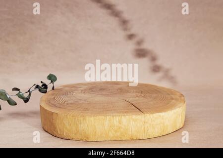 Sega di legno ha tagliato lo sfondo del podio ed il ramo di eucalipto Foto Stock