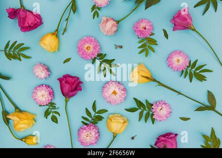 Composizione creativa piatta con fiori, foglie e petali. Foto Stock