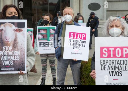 Madrid, Spagna. 30 Marzo 2021. Diversi manifestanti tengono cartelli contro l'esportazione di animali vivi di fronte al Ministero dell'Agricoltura di Madrid. (Foto di Fer Capdepon Arroyo/Pacific Press) Credit: Pacific Press Media Production Corp./Alamy Live News Foto Stock
