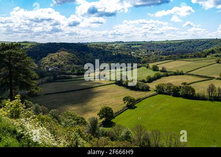 Vista estiva guardando attraverso la Torridge Valley verso RHS Rosemoor e Beaford con campi, nuvole e cielo blu, Great Torrington, Devon, Inghilterra. Foto Stock