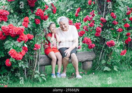 vacanza estiva con una nonna nel villaggio, una donna dai capelli grigi abbraccia e scherza con un bambino su una panchina vicino ai cespugli di rose nel giardino Foto Stock