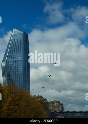 Un gregge di uccelli dalle silhouette che volano in un cielo stellato di nuvole sulla South Bank di Londra, con alberi autunnali in primo piano e un grattacielo di fondo. Foto Stock