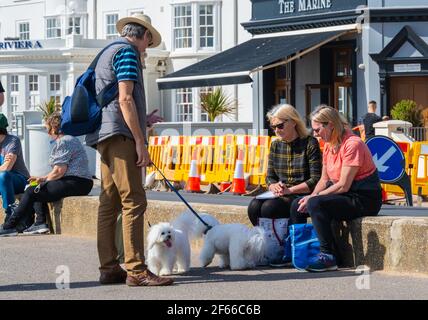 Sidmouth, Devon, Regno Unito. 30 Marzo 2021. Regno Unito Meteo: La gente è stata vista camminare cani e passeggiare lungo la bella spianata a Sidmouth immergersi sul sole caldo il giorno più caldo dell'anno finora. Credit: Celia McMahon/Alamy Live News Foto Stock