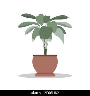 Home Plant Icon illustrazione vettoriale in design piatto Illustrazione Vettoriale