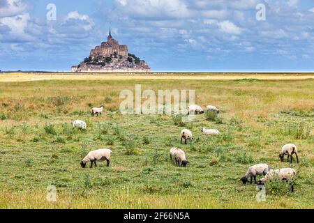 Vista della famosa storica isola delle maree di Mont Saint-Michel con pecore che pascolano in campi di pascolo davanti ad esso Foto Stock