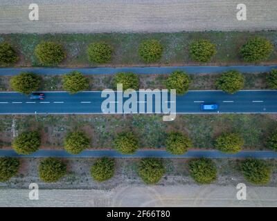 Strada con auto che passano con due corsie e grandi alberi e pista ciclabile dall'alto verso il basso alla luce del giorno. Foto Stock