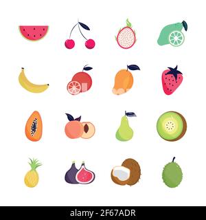 frutta tropicale natura esotica organica Illustrazione Vettoriale