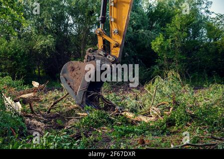 Escavatori a catena gialli che liberano la vegetazione durante la costruzione del Sud La conduttura dei flussi nel processo di deforestazione in Bulgaria è molto pericolosa per o Foto Stock