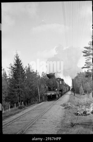 Locomotiva a vapore per matrimoni. Le ferrovie dello stato, SJ e 1096. Foto Stock