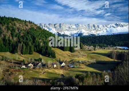 Vista aerea del verde paesaggio montano. Poche case circondate da prati e boschi. Cresta rocciosa di montagna Vercors ricoperta di neve sullo sfondo. Foto Stock