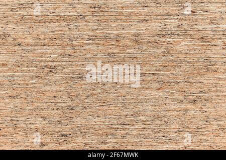 Truciolare, struttura in legno pressato, materiali da costruzione, piano di primo piano su sfondo chiaro truciolare. Foto Stock