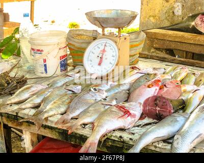 Primo piano dei pesci sul mercato del pesce Foto Stock