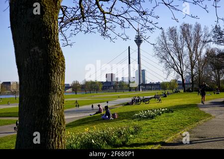 Bella giornata di primavera con le persone che godono il sole a Düsseldorf, quartiere di Oberkassel. Sullo sfondo è visibile il simbolo della Torre sul Reno. Foto Stock
