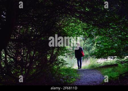 Uomo che cammina lungo Forest Path Foto Stock