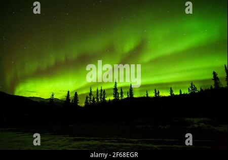 Nord America; Stati Uniti; Alaska; Alaska Range Mountains; Inverno; Notte; Stelle; Cielo; fenomeno naturale; Aurora Borealis; Aurora boreale. Grande tuffo Foto Stock