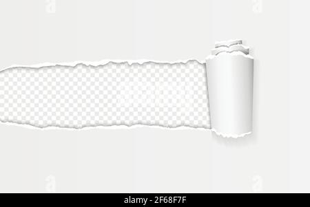 Striscia di carta strappata e attorcigliata con bordi strappati su trasparente sfondo Illustrazione Vettoriale