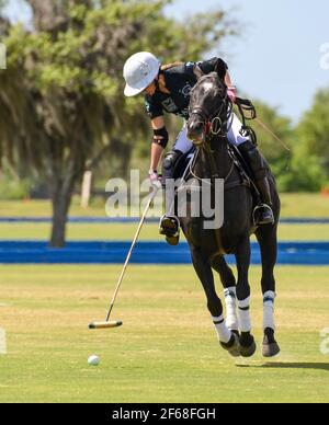 DUNDAS VS HAWAII POLO LIFE 2021 CAMPIONATI DI POLO FEMMINILE, tenuti a Port Mayaca, Florida, 10 marzo 2021. Team Dundas: Nina Clarkin, Hope Arelano, Sarah Siegel Magness Team Hawaii Polo Life: Delores rete, Pamela Flanagan, mia Cambiaso, Hazel Jackson. Foto di Jennifer Graylock-Graylock.com 917-519-7666 Foto Stock