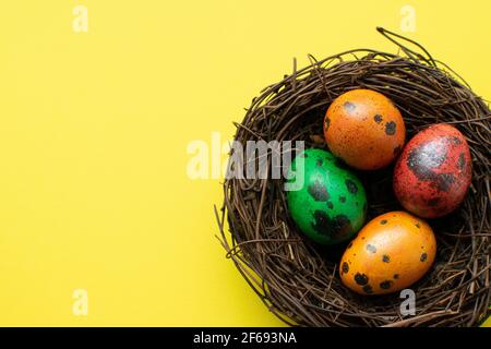 Uova di quaglia verdi dipinte di rosso, arancio, giallo in un nido decorativo di ramoscelli su sfondo giallo. Sfondo di Pasqua. Spazio di copia. Disposizione piatta. Foto Stock