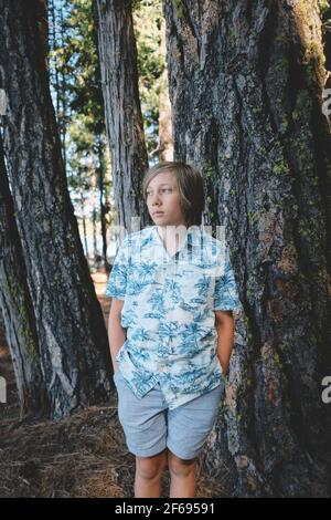 Ragazzo in camicia hawaiana si erge oltre lichen coperto alberi di pino Foto Stock