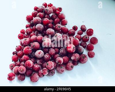 bacche rosse su sfondo bianco Foto Stock
