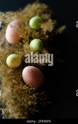uova di pasqua su un ramo di canne su sfondo nero, posto per il testo Foto Stock