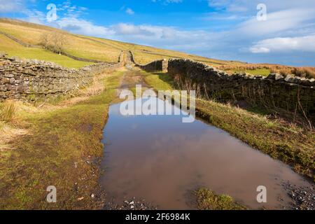 Wensleydale nel pomeriggio di febbraio, Yorkshire Dales National Park Foto Stock