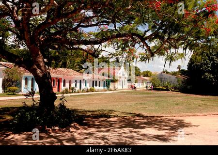 porto seguro, bahia / brasile - 5 febbraio 2010: Veduta del Parco storico comunale di Descobrimento nella città di Porto Seguro. Il luogo conserva le reliquie f Foto Stock